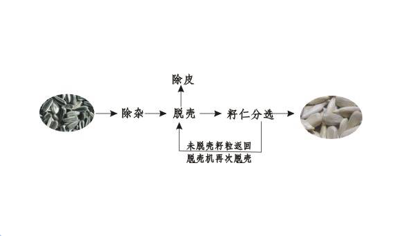 內(nèi)蒙古葵花脫殼機(jī).png